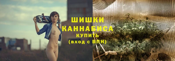apvp Каменка